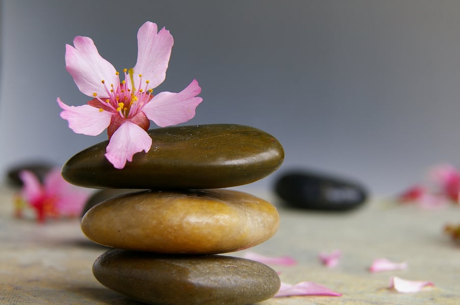 Cherry Blossom on Top of Stacked Stones 